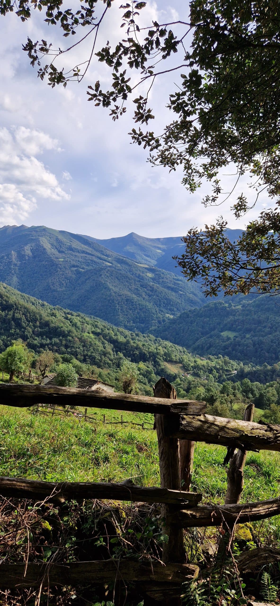 Appartements ruraux affiliés au Bon de tourisme des Asturies 2026 à Aller - image 10