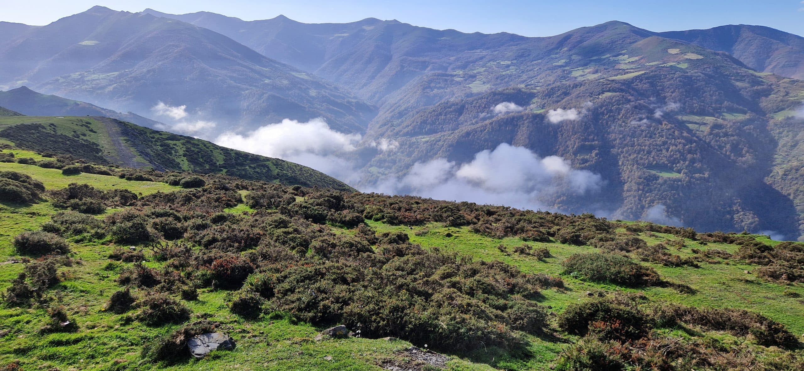 Appartements ruraux affiliés au Bon de tourisme des Asturies 2026 à Aller - image 7