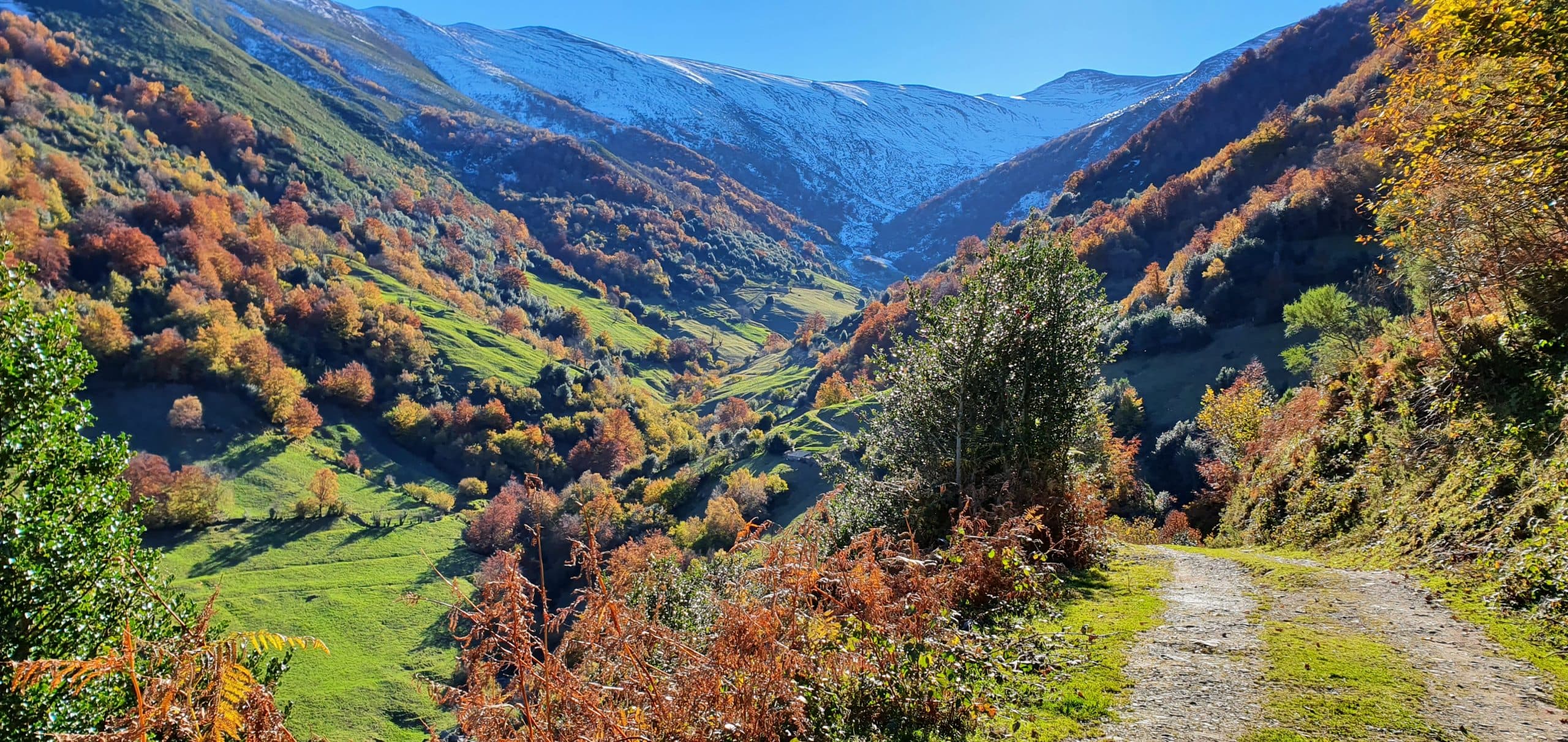 Appartements ruraux affiliés au Bon de tourisme des Asturies 2026 à Aller - image 3