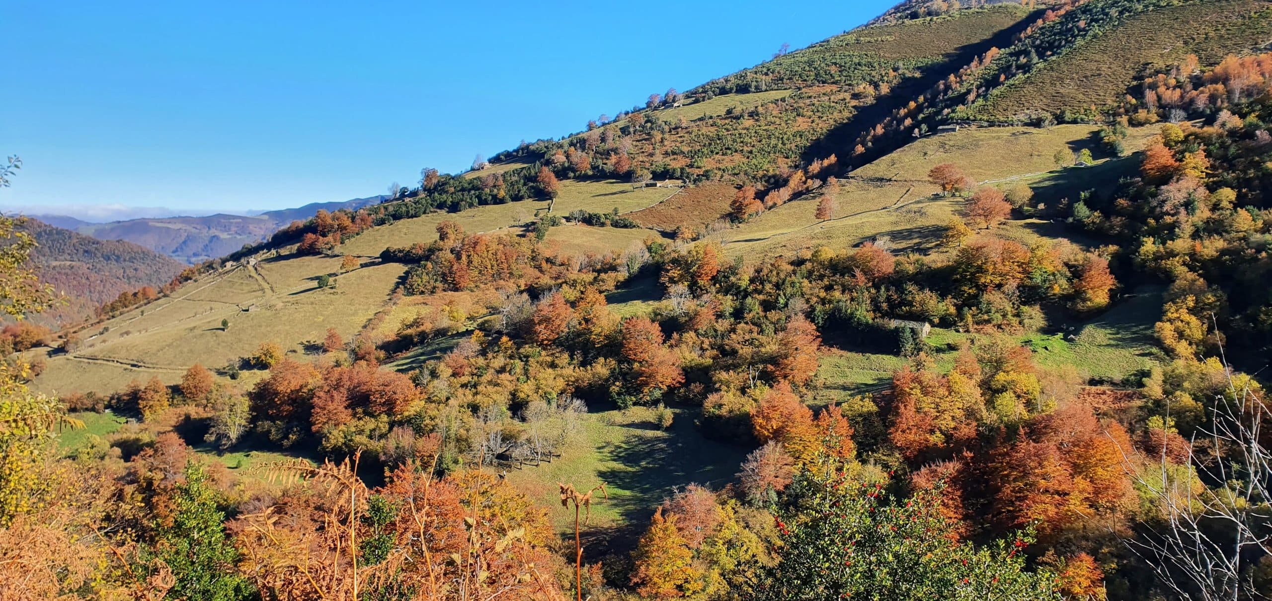 Appartements ruraux affiliés au Bon de tourisme des Asturies 2026 à Aller - image 2